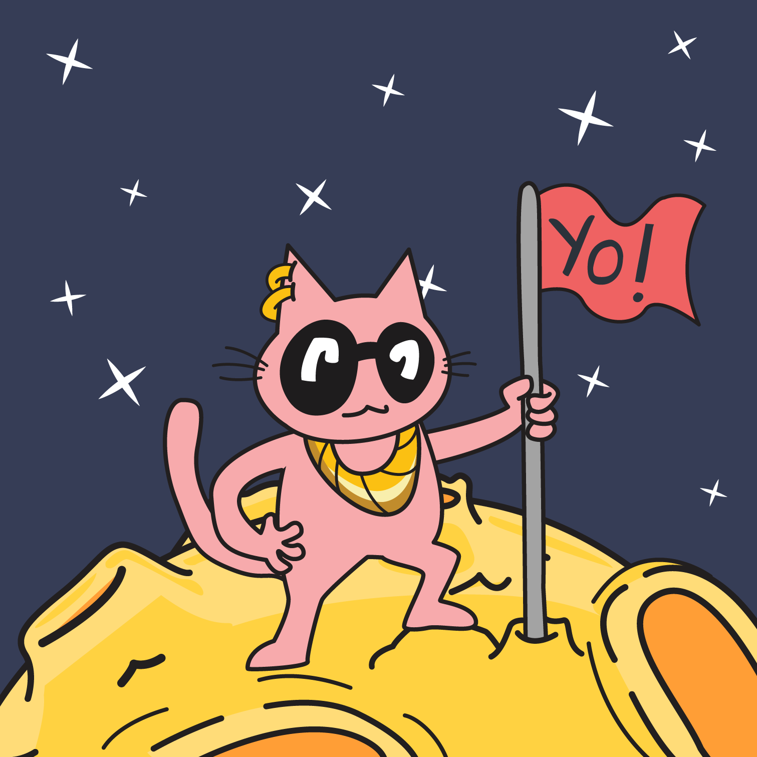 YoCat on the Moon